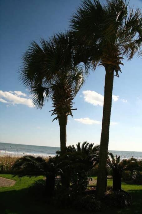 *RENOVATED OCEANFRONT CONDO*Queen Beds*Pools*Hot Tubs*More*P220 Myrtle Beach Buitenkant foto